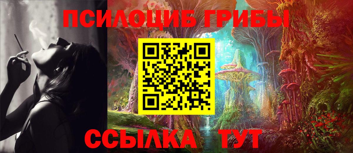 Псилоцибиновые грибы прущие грибы Великие Луки
